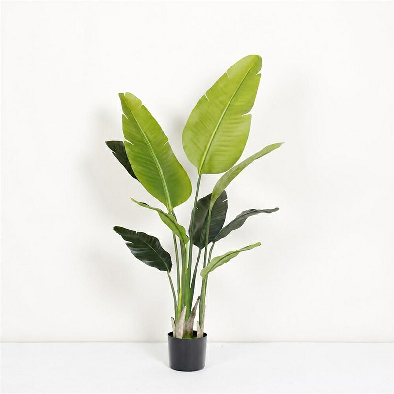 人工観葉植物 ストレリチア オーガスタ 旅人の木 鉢植え 高さ120cm フェイクプランツ リアル 本物そっくり 大型 北欧風 おしゃれ 枯れない 水やり不要 お手入れ簡単 装飾 リビング 玄関 置物｜あいあいロジスティック