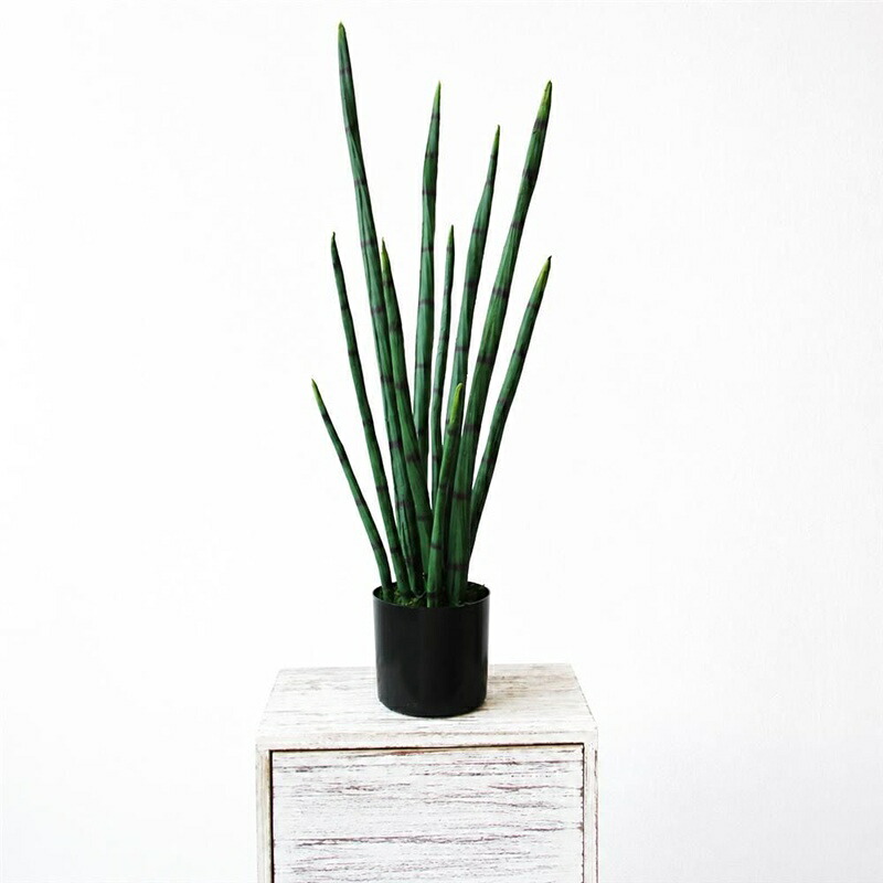 フェイクグリーン 観葉植物 人工観葉樹 大型 造花 鉢植え リアル 室内 インテリア おしゃれ 屋内 リビング 玄関 飾り 世話いらず 水やり不要 開店祝い 新築祝い プレゼント｜あいあいロジスティック 8,928円