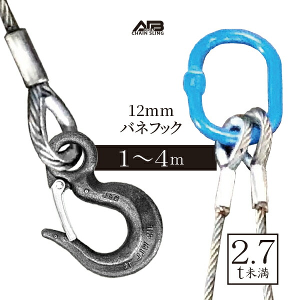 楽天市場】2点吊りワイヤースリング[ラッチフックセット] 12mm 使用