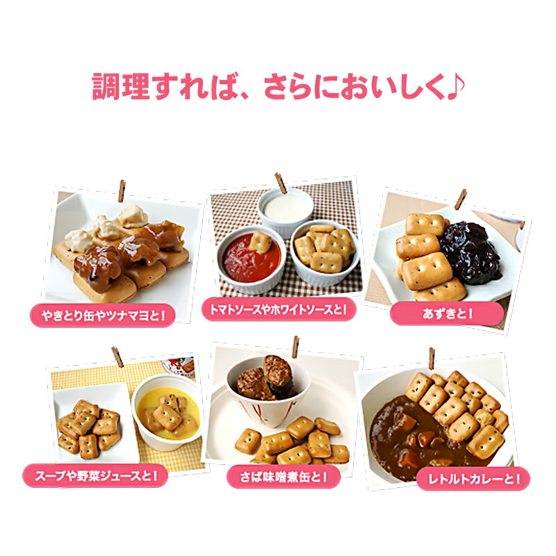 非常用5年保存食 三立製菓(サンリツ)缶入りカンパン 100g 5缶セット