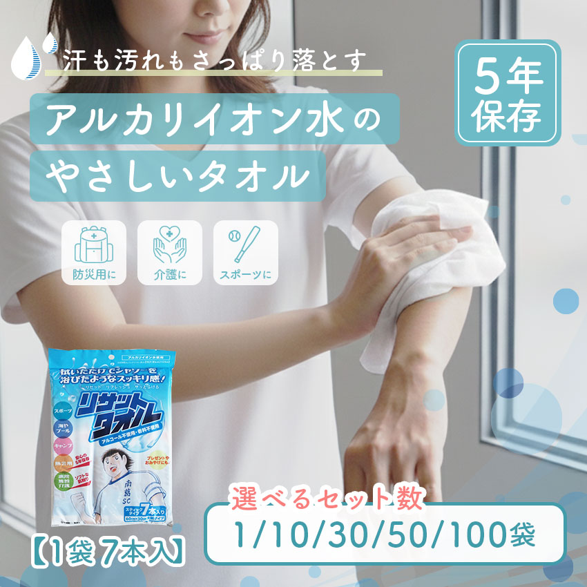 【アウトレット 使用期限2029年11月】 備蓄用ウェットタオル 5年保存 防災グッズ 災害 備蓄 使い捨て 個包装 大判 除菌 ノンアルコール 水のいらない 体拭き お風呂 介護 入院 スポーツ 17,180円