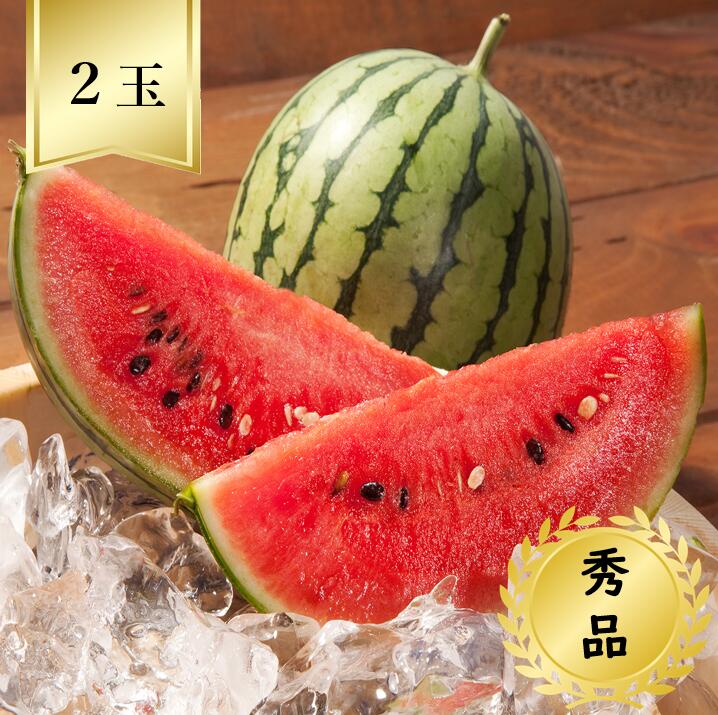 【送料無料】小玉 すいか ２玉 秀品<br>R7年度先行予約商品