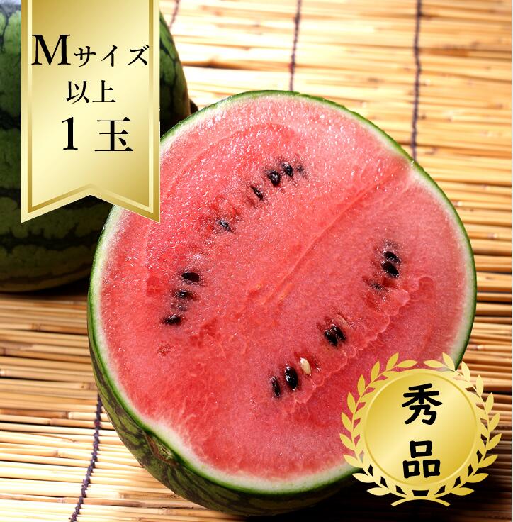 【送料無料】大玉 すいか<br>Ｍサイズ以上1玉 秀品 <br>R7年度先行予約商品