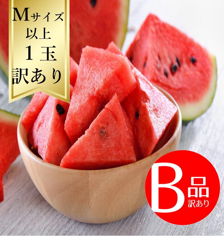 スイカ✣ℝさま♡ 紅小玉 スイカ 2玉入り こだま西瓜 茨城県・熊本県産中心 贈答