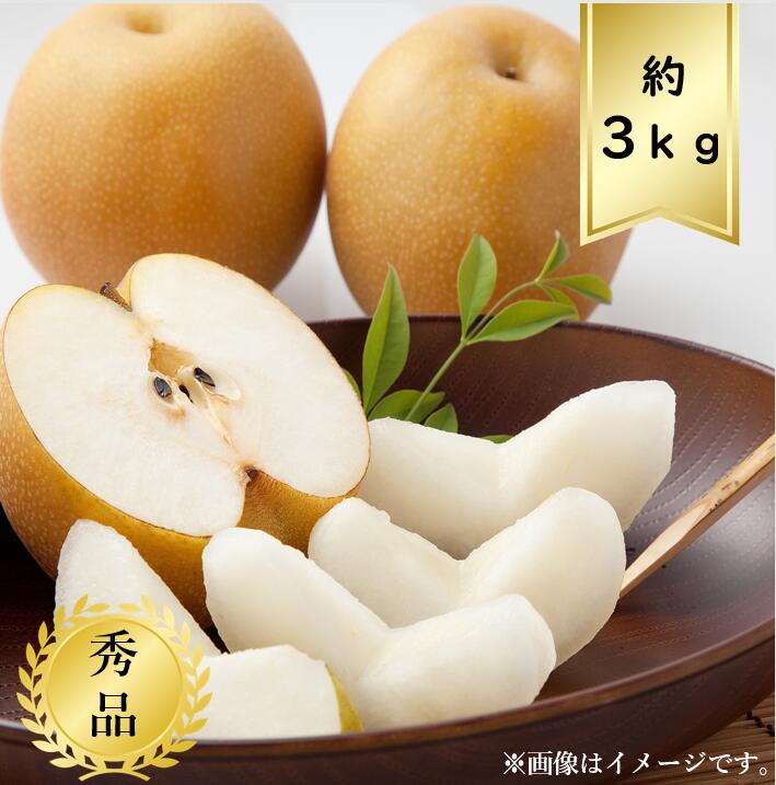 【送料無料】和梨 サイズおまかせ約3ｋｇ 秀品<br>R7年度先行予約商品