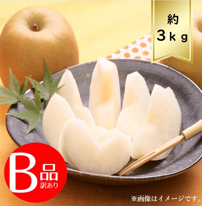 【送料無料】和梨 サイズおまかせ約3ｋｇ 訳あり B品<br>R7年度先行予約商品