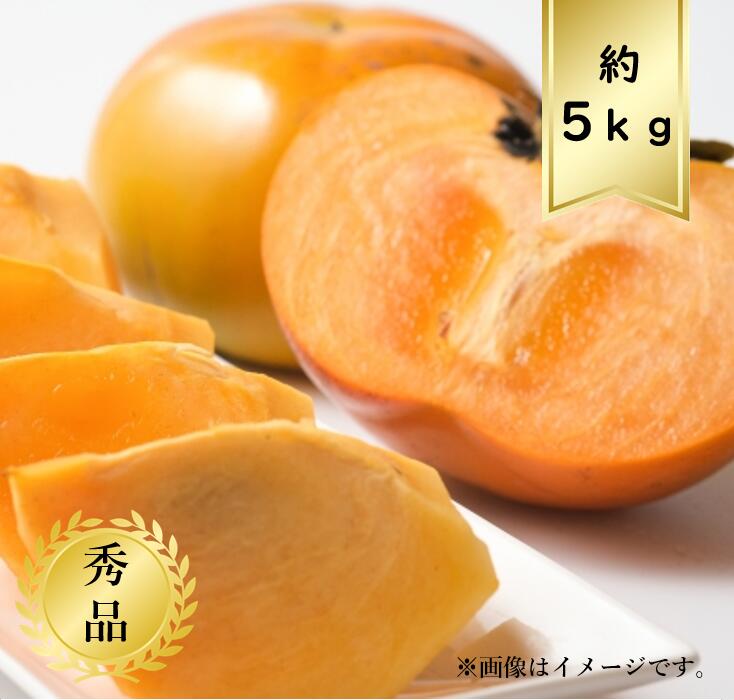 【送料無料】柿 サイズおまかせ約5ｋｇ 秀品<br>R7年度先行予約商品