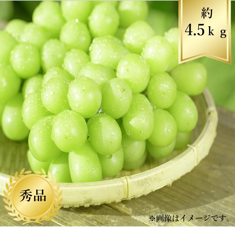 シャインマスカット　約4.5kg 9〜10房 楽天市場】ぶどう シャインマスカット 約5kg ( 6～9房 ) 《産地