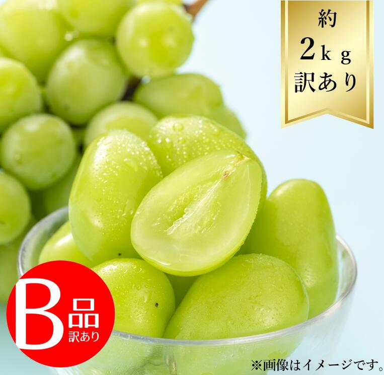 楽天市場】【送料無料】 信州 シャインマスカット 秀品 3kg（6〜8房