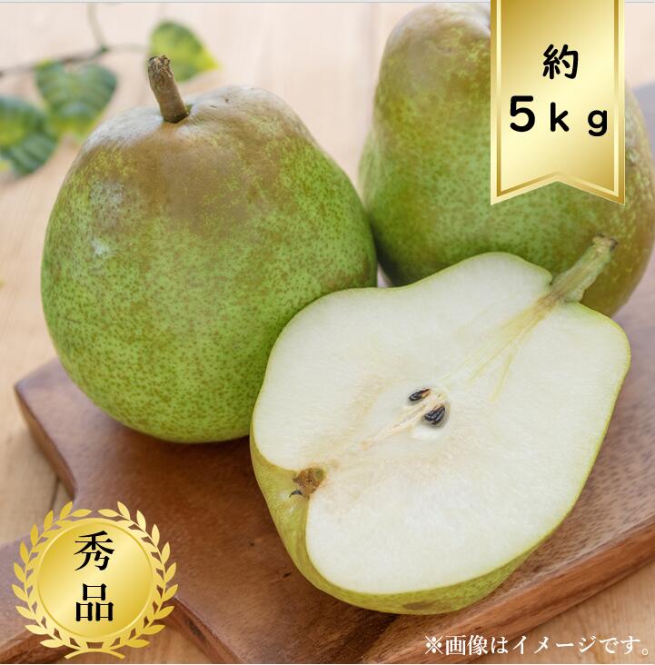 【送料無料】ラフランス サイズおまかせ約5ｋｇ 秀品<br>R7年度先行予約商品