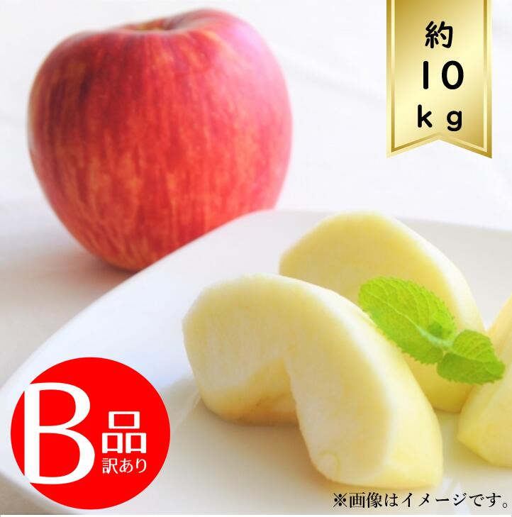 楽天市場】【送料無料】青森県産 サンふじ 甚八りんご 36〜40玉