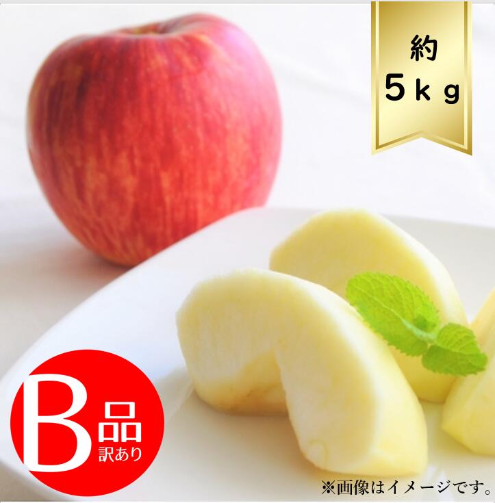 青森県産　A級品　大玉　サンふじ　6キロ 青森りんご サンふじ