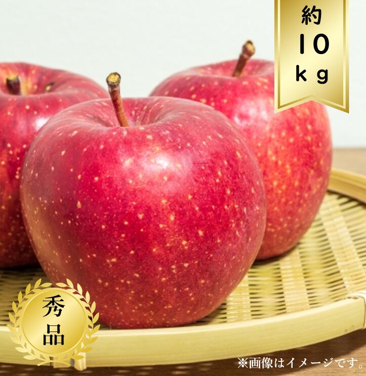 【送料無料】サンふじりんごサイズおまかせ約10ｋｇ 秀品<br>R7年度先行予約商品