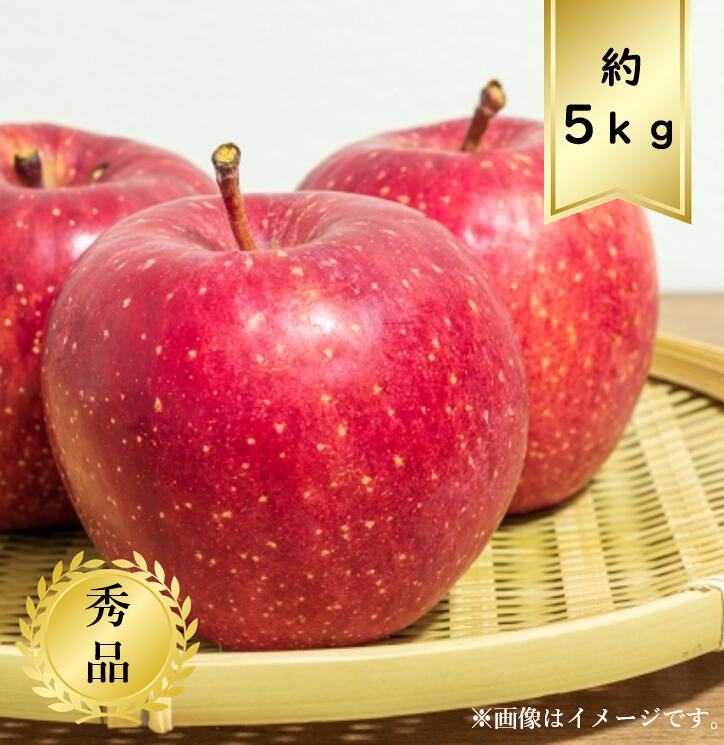 【送料無料】サンふじりんごサイズおまかせ約5ｋｇ 秀品<br>R7年度先行予約商品
