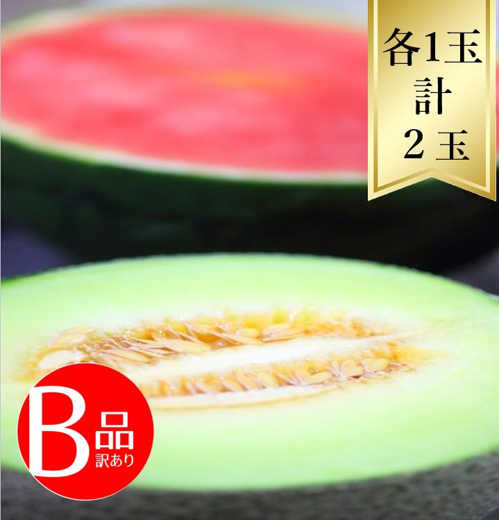 【送料無料】スイカとメロン食べ比べ 訳あり Ｂ品<br>R7年度先行予約商品