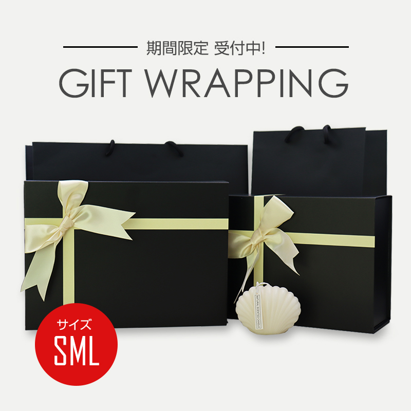 新品未使用　Loppi限定 大福　えらべるおしゃれセット　箱付き 天馬公式】プレクシーケース L クリアナチュラルの通販