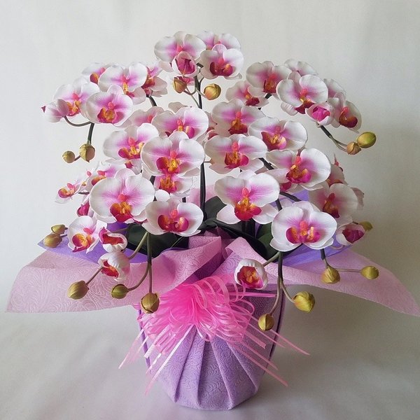 胡蝶蘭-絞り赤 5F 高さ50cm×巾40cm 造花・光触媒 7,448円
