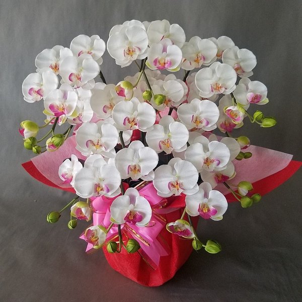 夢見鳥蘭S-白 5F高さ50cm×巾40珊造花・光触媒 アーティフィシャルフラワー 工芸御花 開店祝賀会 開院祝賀会 会社組織 受け付け 差し上げ物 差し上げ物 祝賀会 立札無料