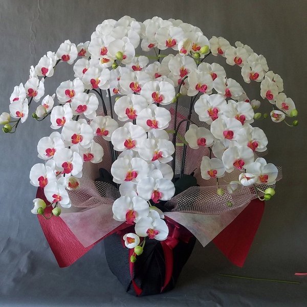 夢見鳥蘭L/白赤 /7F（造花）高さ100cm×巾98糎造花・光触媒 お生まれ落ちる日 開店祝賀会 開院祝賀会 人為的 美術御花 エントランス状態 待ち合い室 ７本立 枯れない夢見鳥蘭 花 御花 受け付け