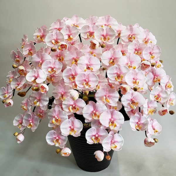 胡蝶蘭M-絞りピンク 12F高さ80cm×巾65cm造花・光触媒