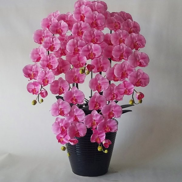 楽天市場】胡蝶蘭-L/白黄 5F高80cm×巾60cm造花・光触媒 : 愛フラワー