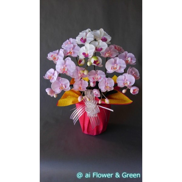 胡蝶蘭M-白紫＆絞りピンク 3F 高さ75cm×巾40cm 造花・光触媒