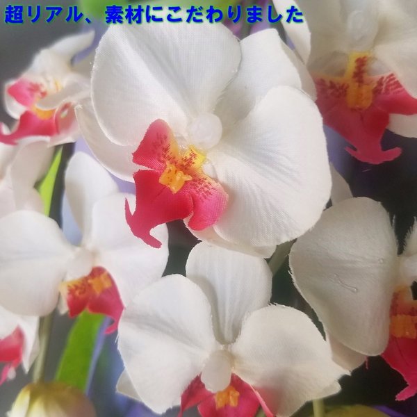 店 胡蝶蘭m 白赤 5f アイビー高さ70cm 巾45cm造花 光触媒 愛フラワー グリーン