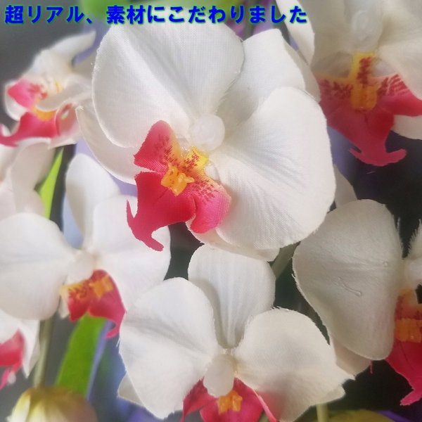 店 胡蝶蘭m 白赤 5f アイビー高さ70cm 巾45cm造花 光触媒 愛フラワー グリーン 店 胡蝶蘭m 白赤 5f アイビー高さ70cm 巾45cm造花 光触媒 愛フラワー グリーン