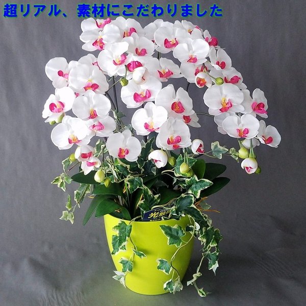 店 胡蝶蘭m 白赤 5f アイビー高さ70cm 巾45cm造花 光触媒 愛フラワー グリーン 店 胡蝶蘭m 白赤 5f アイビー高さ70cm 巾45cm造花 光触媒 愛フラワー グリーン