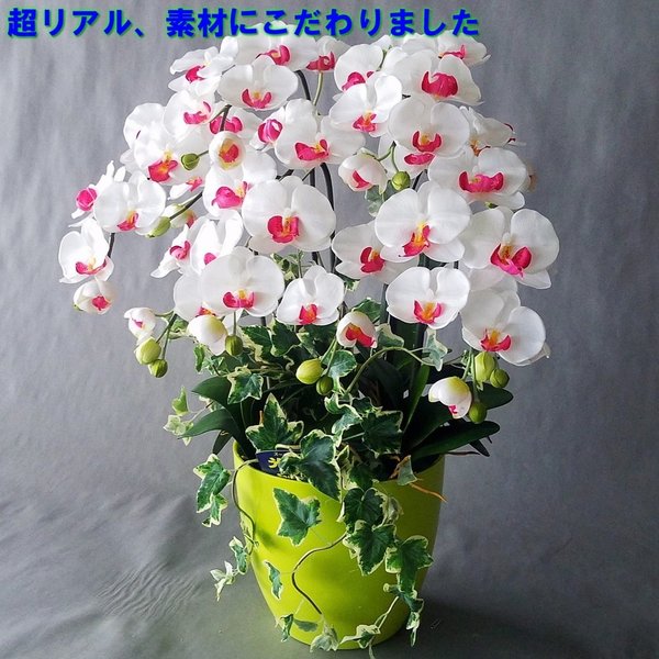 店 胡蝶蘭m 白赤 5f アイビー高さ70cm 巾45cm造花 光触媒 愛フラワー グリーン 店 胡蝶蘭m 白赤 5f アイビー高さ70cm 巾45cm造花 光触媒 愛フラワー グリーン