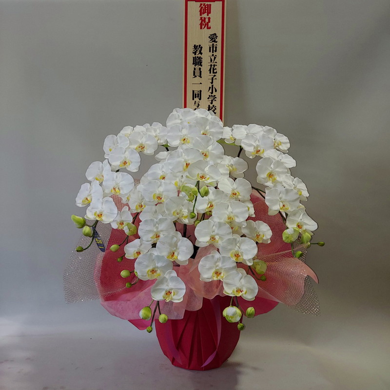 楽天市場】胡蝶蘭L/3F(造花)【フアンシーパープル】新発売/新 楽天市場】胡蝶蘭L/3F(造花)【フアンシーパープル】新発売/新