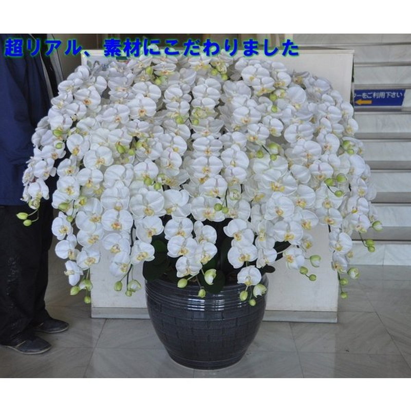 夢見鳥蘭L/白黄/20F（造花）高さ115cm×巾100珊造花・光触媒 引き移る祝賀会 開店祝賀会 開院祝賀会 開業祝賀会 エントランス状態 大型夢見鳥蘭 特大大きさ 大型夢見鳥蘭 アーティフィシャルフラワー 立札無料 ラッピング無料