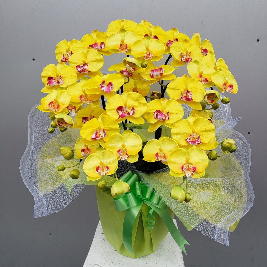 楽天市場】胡蝶蘭LL-白黄 7F高さ115cm×巾80cm造花・光触媒 開店