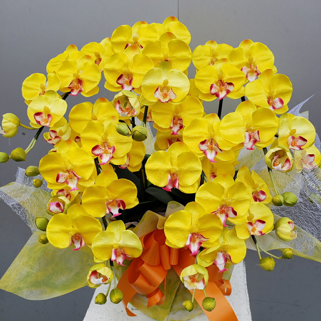 夢見鳥蘭S/5F/黄味がかった（造花）高約50×幅40 光触媒