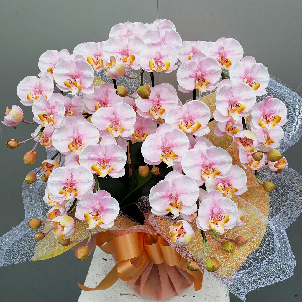 楽天市場】胡蝶蘭DXL-絞りピンク 5F高85cm×巾50cm造花・光触媒 アート
