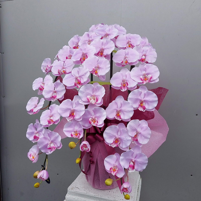 公式カスタマイズ商品 胡蝶蘭DXL/黄/３F（造花）規格　高80×幅40/光触媒 フラワー/ガーデン