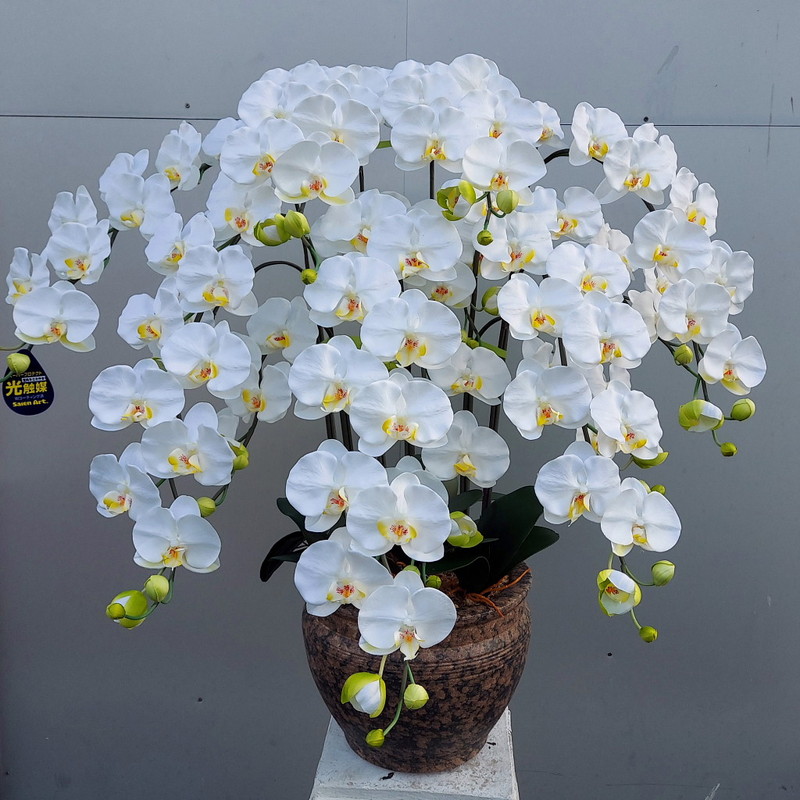 楽天市場】胡蝶蘭-L/白黄 5F高80cm×巾60cm造花・光触媒 アーティ 