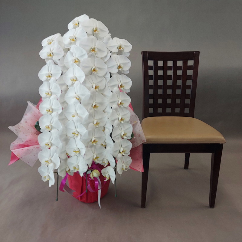 夢見鳥蘭（活け花）３本ロング・花付約５０輪以上（蕾含）高90×幅60\u003c/br\u003e