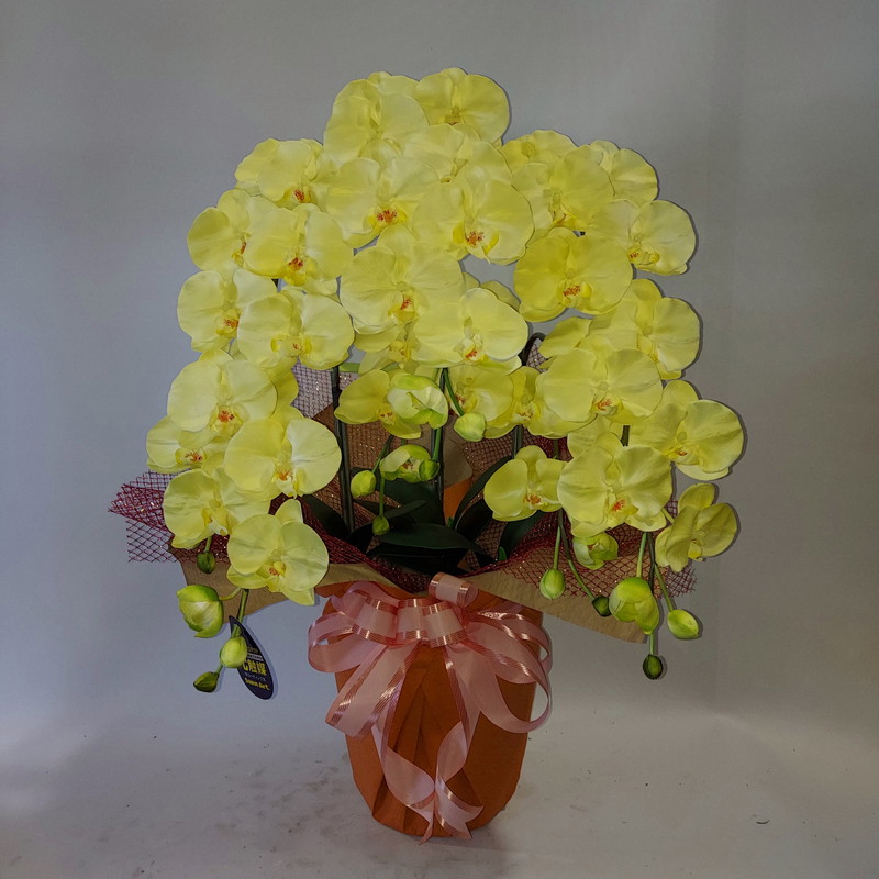 楽天市場】胡蝶蘭L/3F(造花)【フアンシーパープル】新発売/新 楽天市場】胡蝶蘭L/3F(造花)【フアンシーパープル】新発売/新