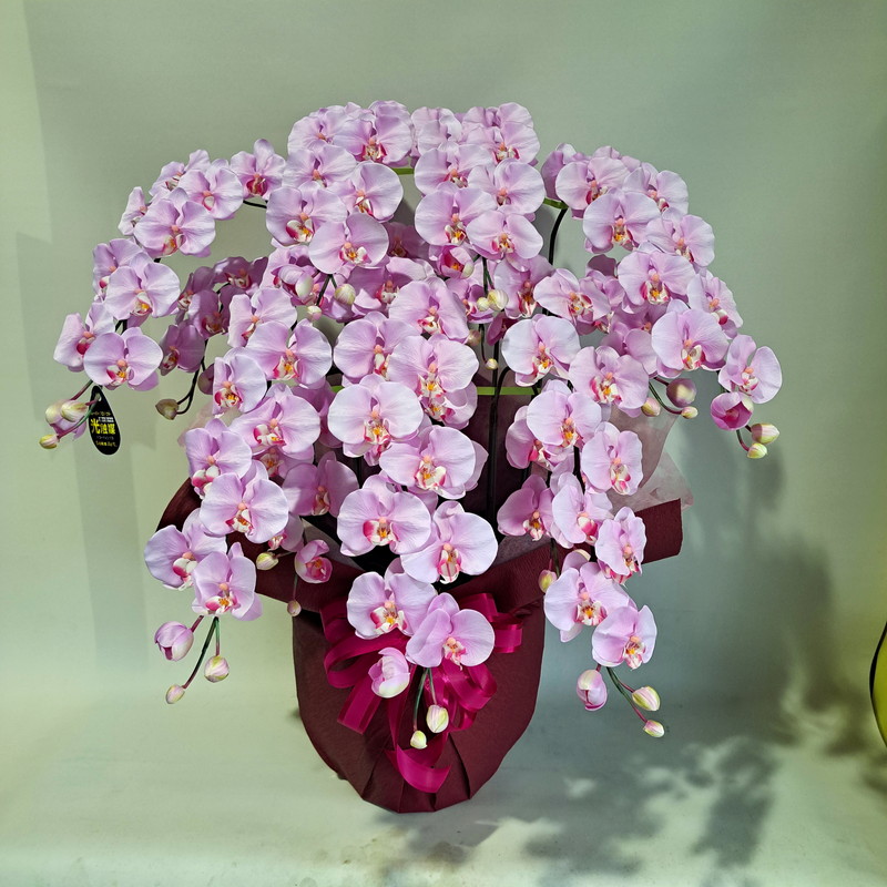 夢見鳥蘭L/絞りサクラ色/7F（造花）高85×幅70・光触媒上塗り 開店祝賀会 開院祝賀会 開業祝賀会 お生まれ落ちる日 引き越す祝賀会 エントランス状態 差し上げ物 お生まれ落ちる日 ７本立 アーティフィシャルフラワー 美術御花 まがい物 立札無料