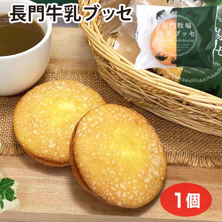 Amazon.co.jp: 信州長門牧場 ソフトクリーム使用 ケーキ 20個入