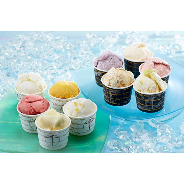 内祝い お返し メーカー直送 送料無料 銀座プレミアムアイス ソルベ Pgs 140 代引き後払い対応不可品 沖縄 離島配送不可 入学内祝い 敬老の日 スィーツ 出産内祝い ギフト 結婚内祝い 香典返し 結婚式引き出物 法事 快気祝い 千疋屋 Mavipconstrutora Com Br