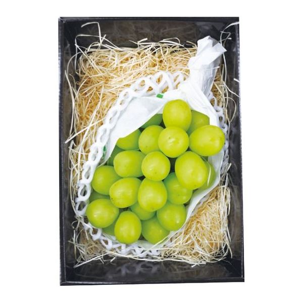 お中元 送料無料 フルーツ 作る人直送 北海道 沖縄 離島は別途送料負担 山梨県何は無くともは長野県産み 温室シャインマスカット1房 代引き信用調和不可貫禄 搬送時世及び時剋帯皮決する不可 お中元以外対応不可 お言い入れ日7 28まで 出荷日 7月輪中旬時期 Ceprie Org