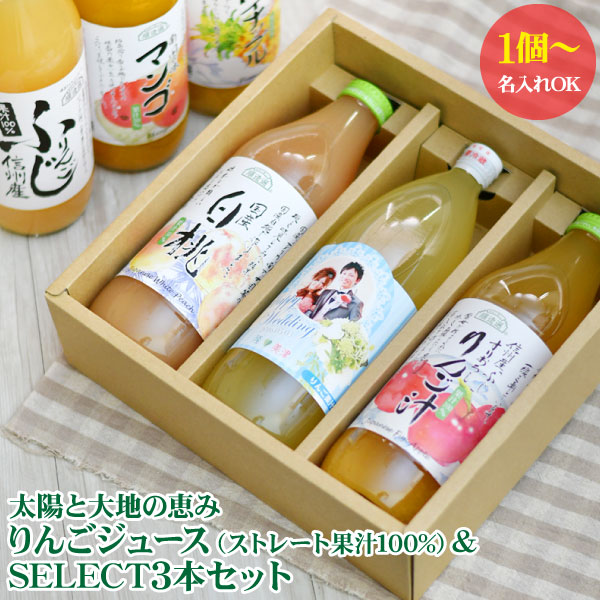 名入れ 太陽と大地の恵み りんごジュース ＆ SELECT3本セット 1点より名入れ可 送料無料 出産内祝い 結婚内祝い 初節句 入園内祝い 入学内祝い お誕生祝い内祝い お返し 100%ジュース かわいい サプライズ 写真入りラベル 名前入り ギフト