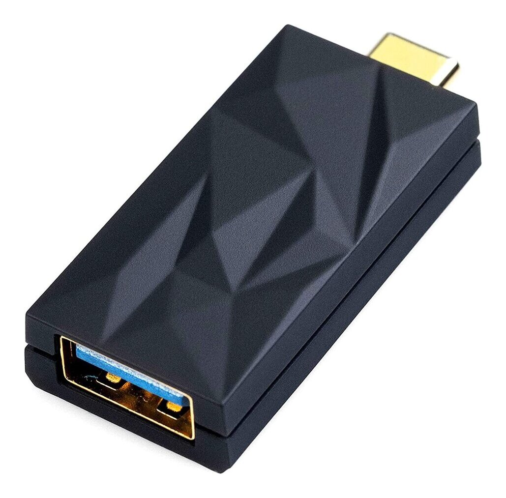 【貨物輸送込】iFi Audio iSilencer+(CA) / USB-C端子牡 - USB-A端子刃針 響動めき立ちなおる USB付属品