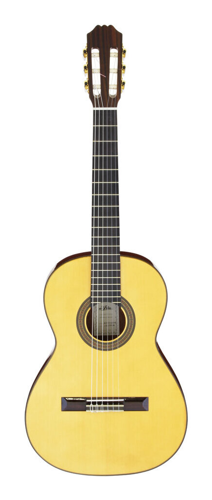 【ポイント10倍】【送料込】【ケース付】ARIA アリア ACE-5S 610 Spruce スモールサイズ クラシックギター スペイン製