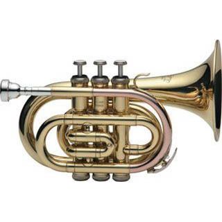 【メーカー3年サポート】【送料込】J.Michael Jマイケル TR-350PL 入門7点セット ポケットトランペット【ポイント12倍】 23,288円