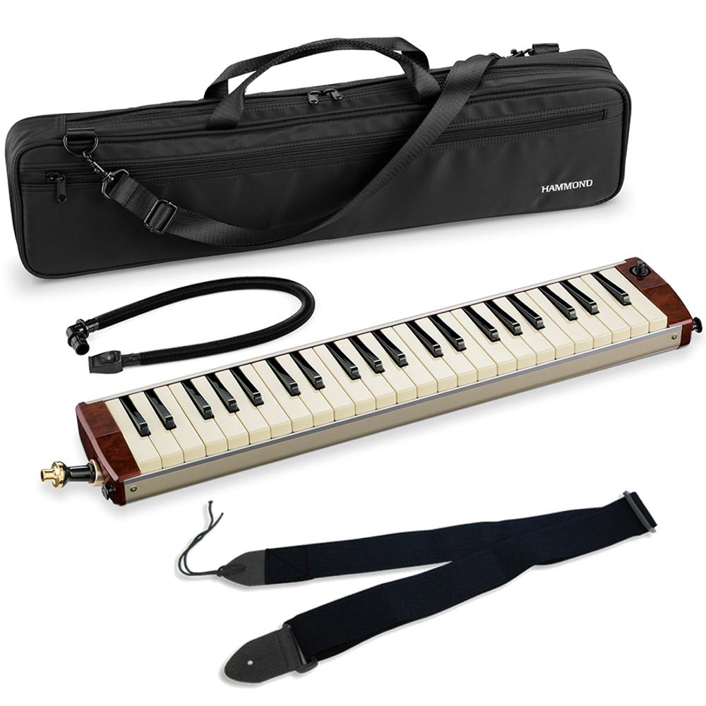 SUZUKI スズキ HAMMOND PRO-44Hv2 ピックアップマイク内蔵 エレアコ 鍵盤ハーモニカ