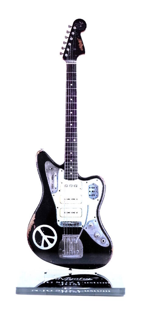 楽天市場】【メール便・送料無料・代引不可】ESP AS-SGZ-06 LUNA