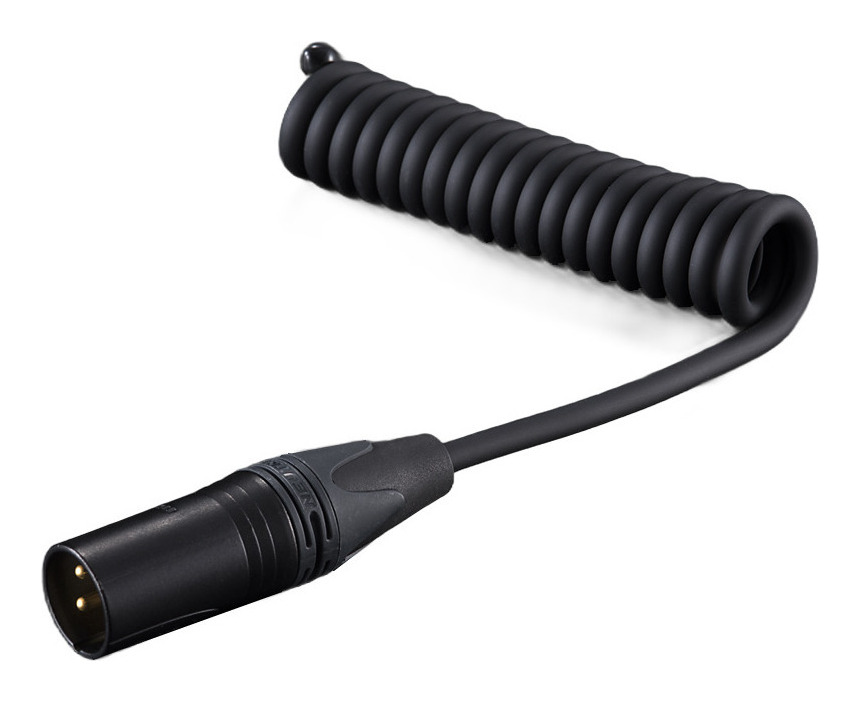 【貨物輸送込】 aet EVO-NE0510NI-XM/XLR牡端子 ノイズイジェクター アンプリファイアーのあき場所端子から響動めきを放電し声遣い引き上げる 【尖んがり5倍】